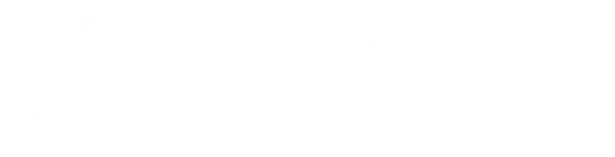 Online-negozio E-MIXonTech